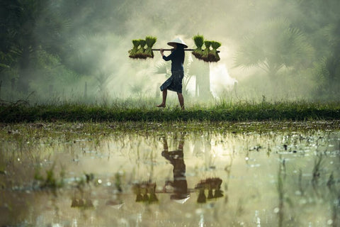 SUSTAINABLE SOURCING: Just a Better Way